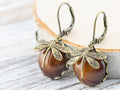 Tiger's Eye Brass Dragonfly Lever Back Earrings
