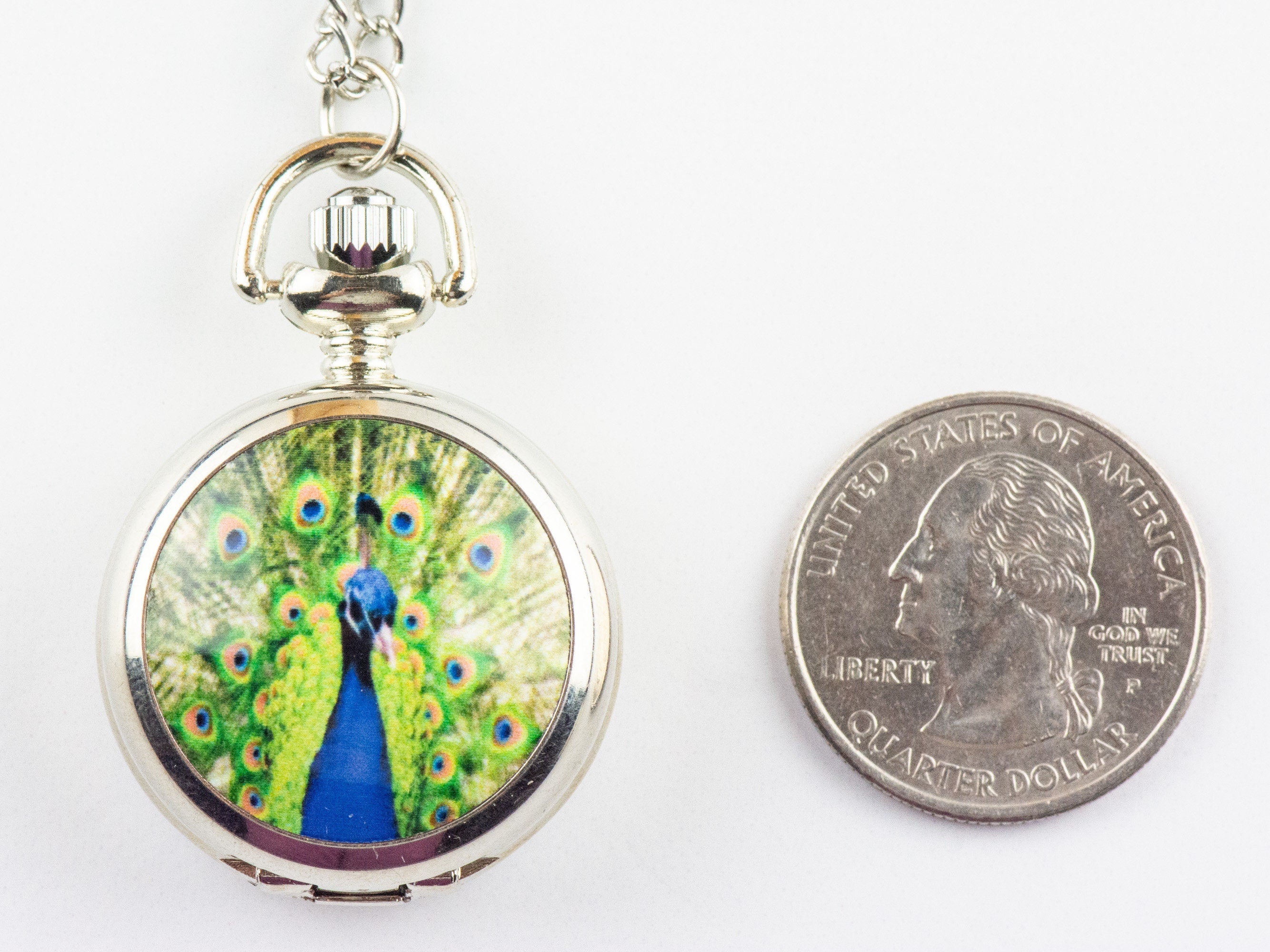 Peacock Print Porcelain Pocket Watch Long Necklace / Unique Watches / Nature Inspired Jewelry