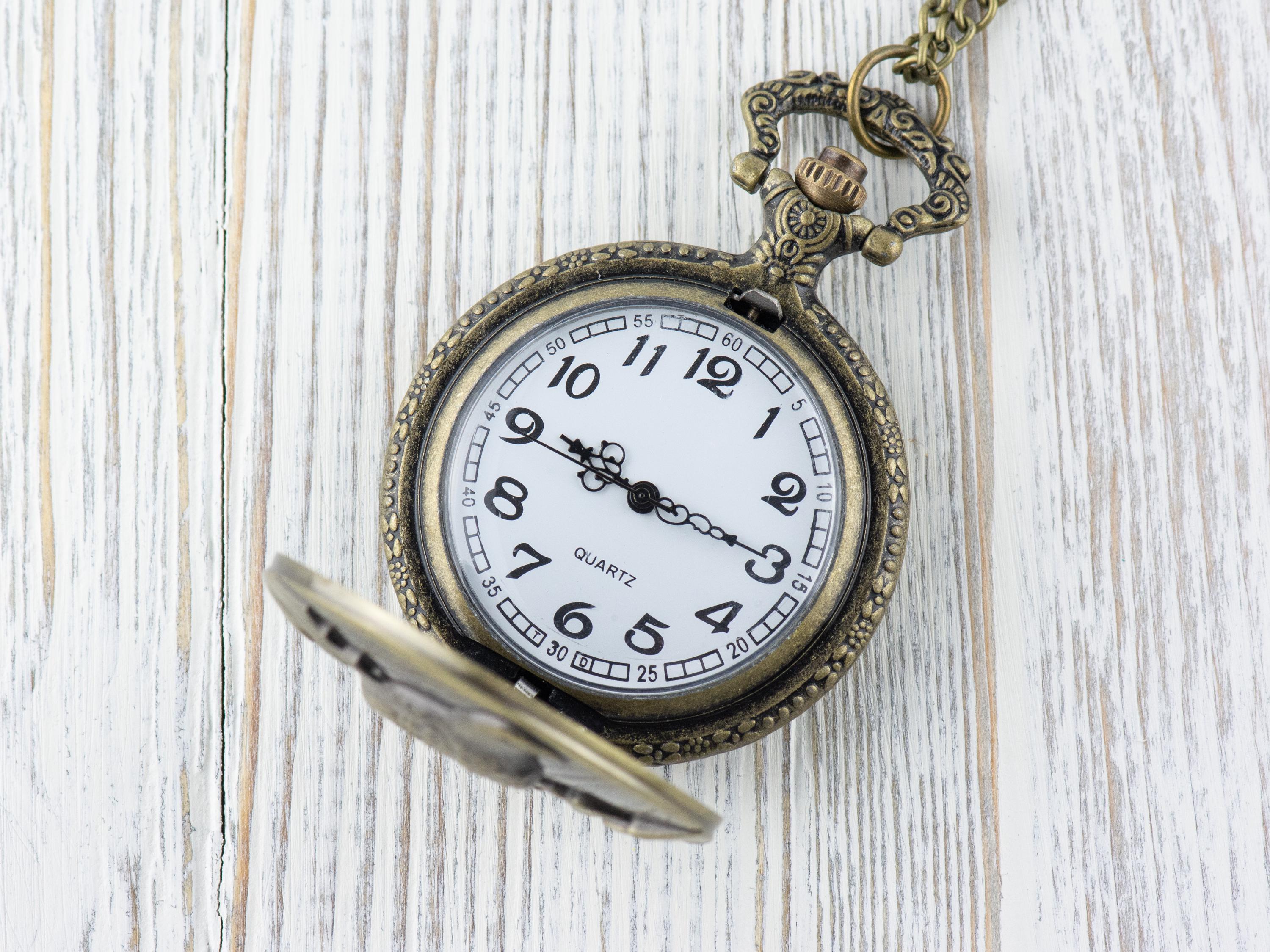Eagle Bronze Pocket Watch Long Necklace / Unique Watches / Nature Inspired Jewelry / Large Pocket Watch
