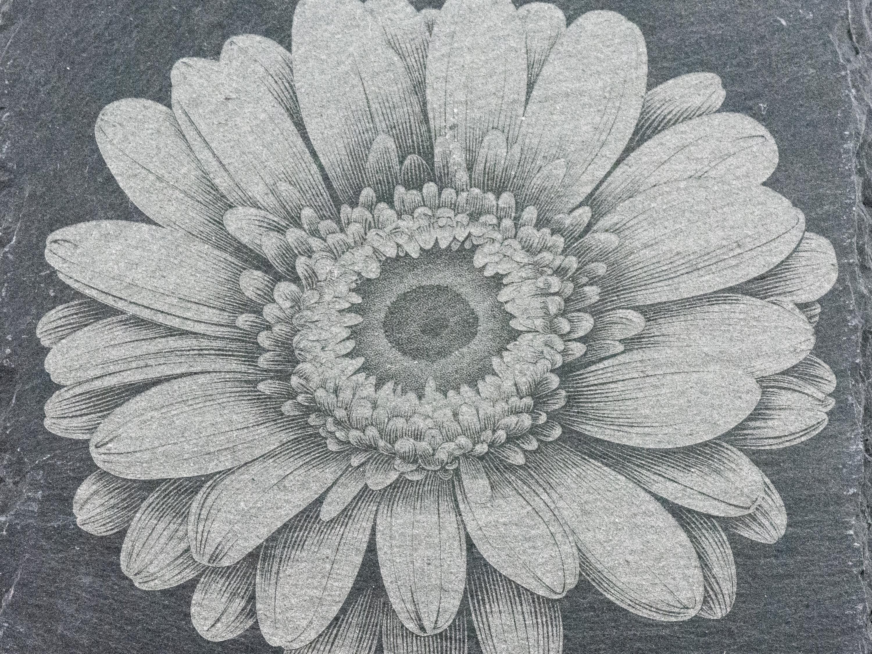 Laser Engraved Gerbera Daisy Black Slate Square Coaster • Rustic Barware