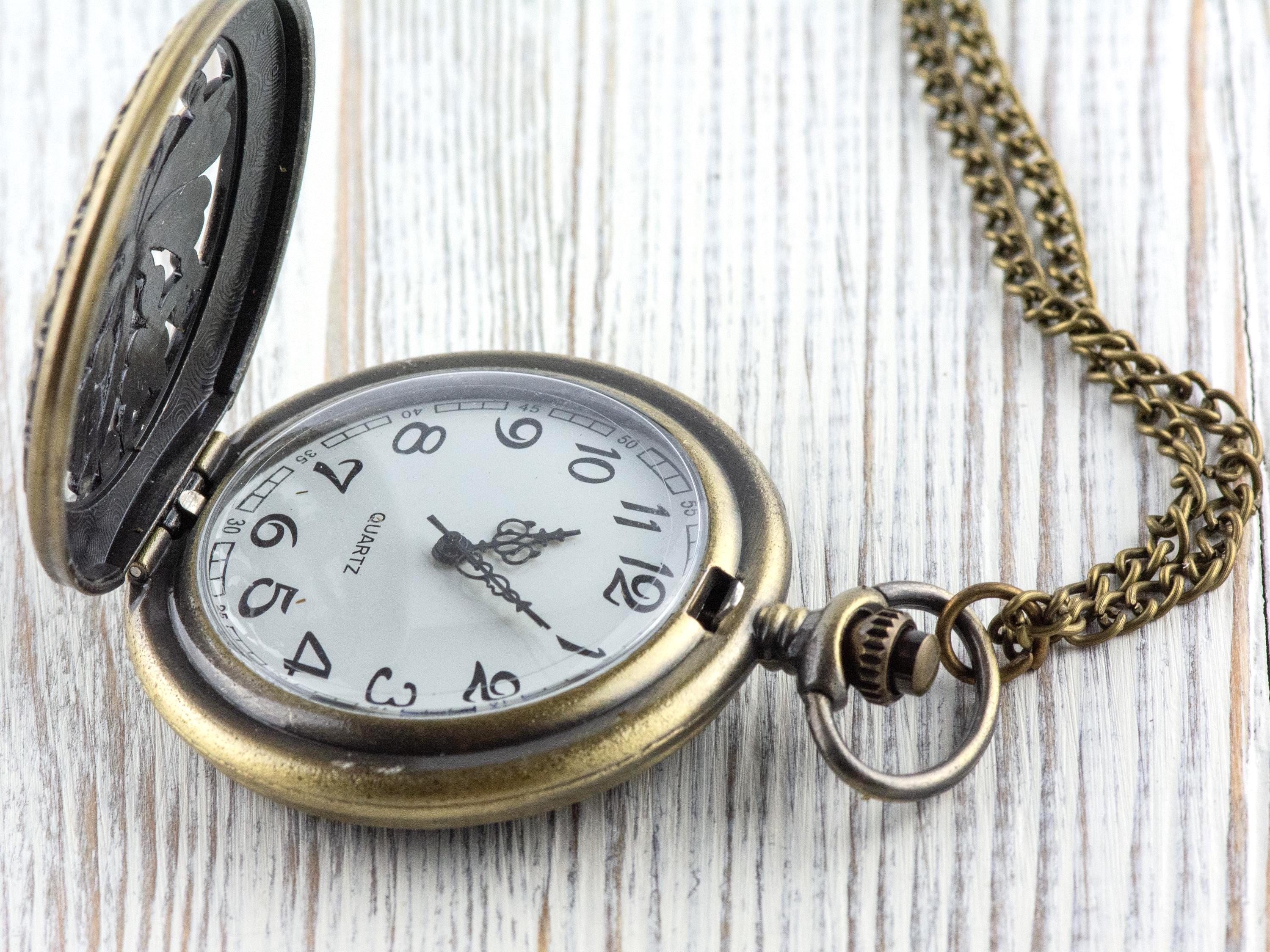 Dragonfly Bronze Pocket Watch Long Necklace / Unique Watches / Nature-Inspired Jewelry / Large Pocket Watch